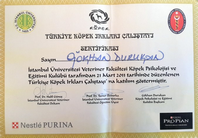 köpek ırkları.jpg