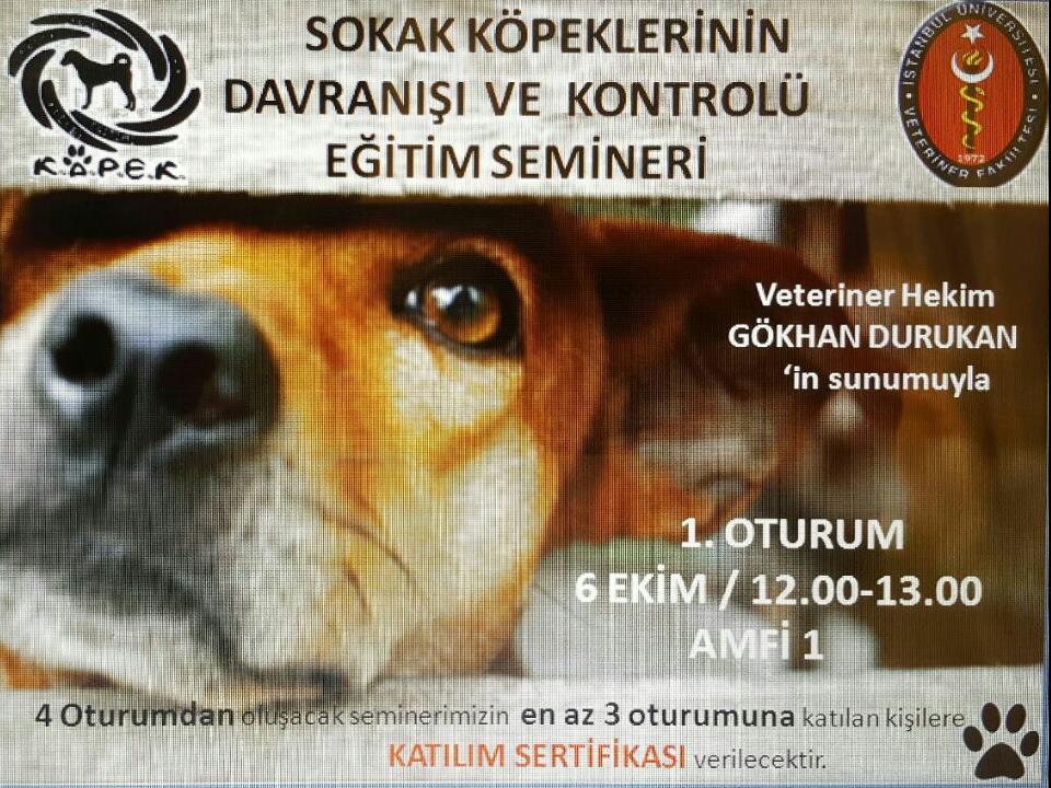 14457378_307052029664879_2124463411158880684_n