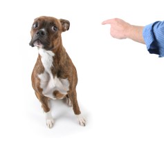 shutterstock_91175882