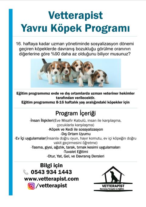 Yavru Köpek Programı Broşür